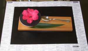 <b>Degustation Menu 2006</b>
<br>Vireya Fire